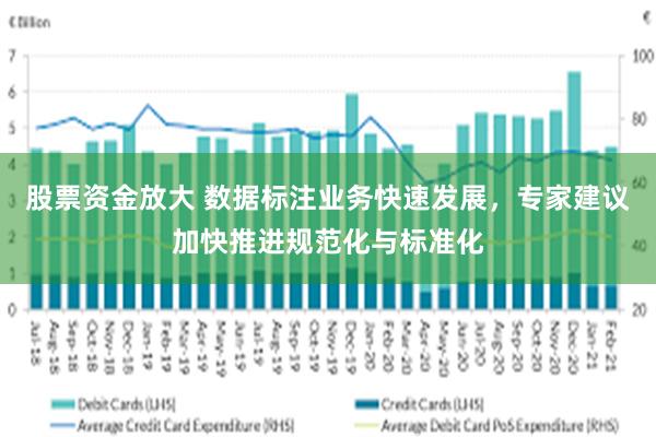股票资金放大 数据标注业务快速发展，专家建议加快推进规范化与标准化