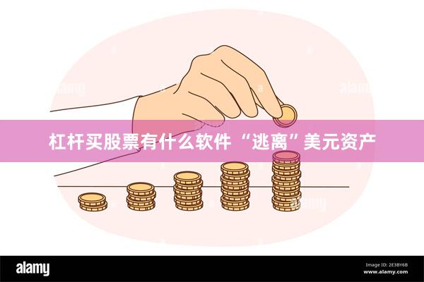 杠杆买股票有什么软件 “逃离”美元资产