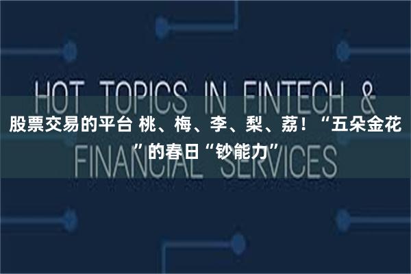 股票交易的平台 桃、梅、李、梨、荔！“五朵金花”的春日“钞能力”